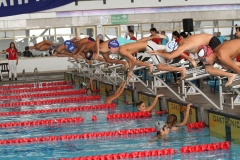 70245_img_1471